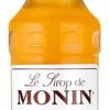 Verbrauchsartikel Barstuff Monin Sirup | Aprikose - Monin Sirup (0,7L)