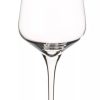 Glaser Barstuff Sektglaser | Champagnerglas Starlight, Stu00F6Lzle - 290Ml (1 Stk.)