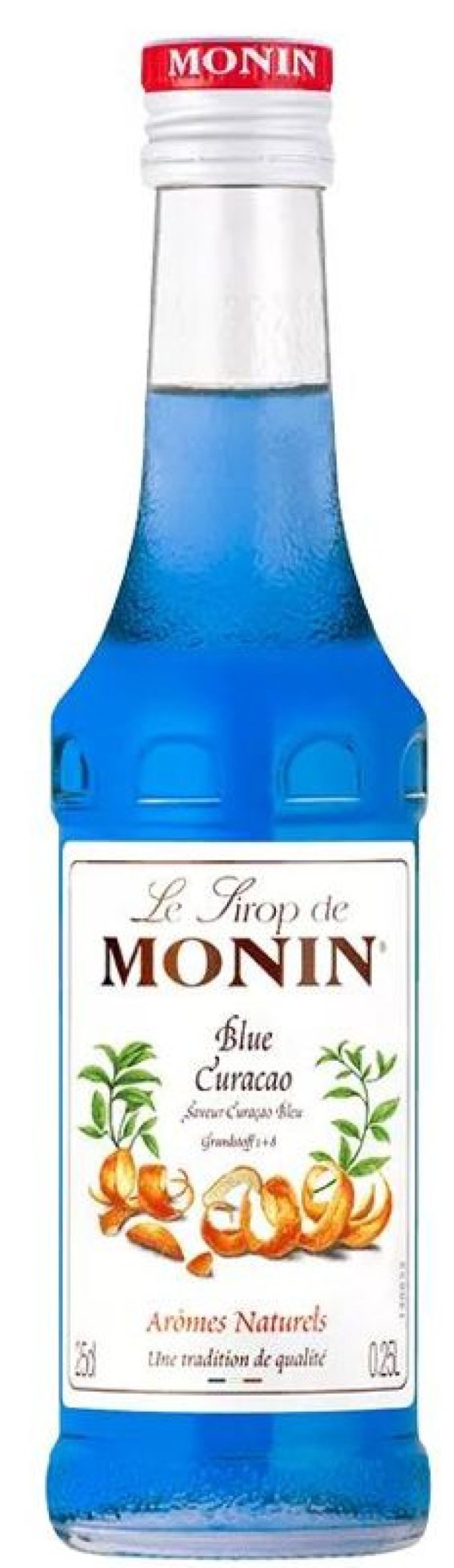 Verbrauchsartikel Barstuff Monin Sirup | Blue Curacao - Monin Sirup Kleinflasche (0,25L)