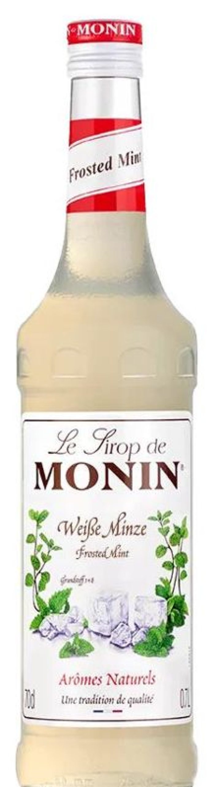 Verbrauchsartikel Barstuff Monin Sirup | Eis Minze - Monin Sirup (0,7L)