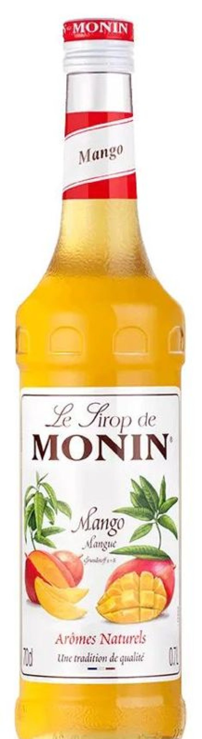 Verbrauchsartikel Barstuff Monin Sirup | Mango - Monin Sirup (0,7L)