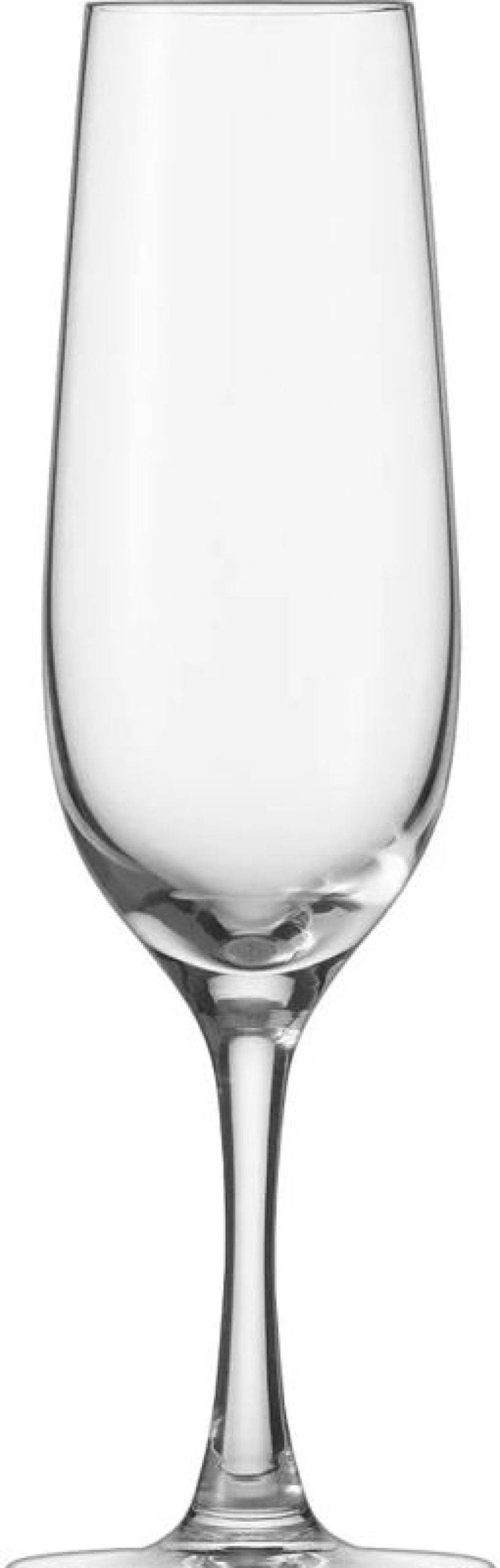 Glaser Barstuff Sektglaser | Sektglas, Congresso Schott Zwiesel - 235Ml, 0,1L Eiche (6Stk.)