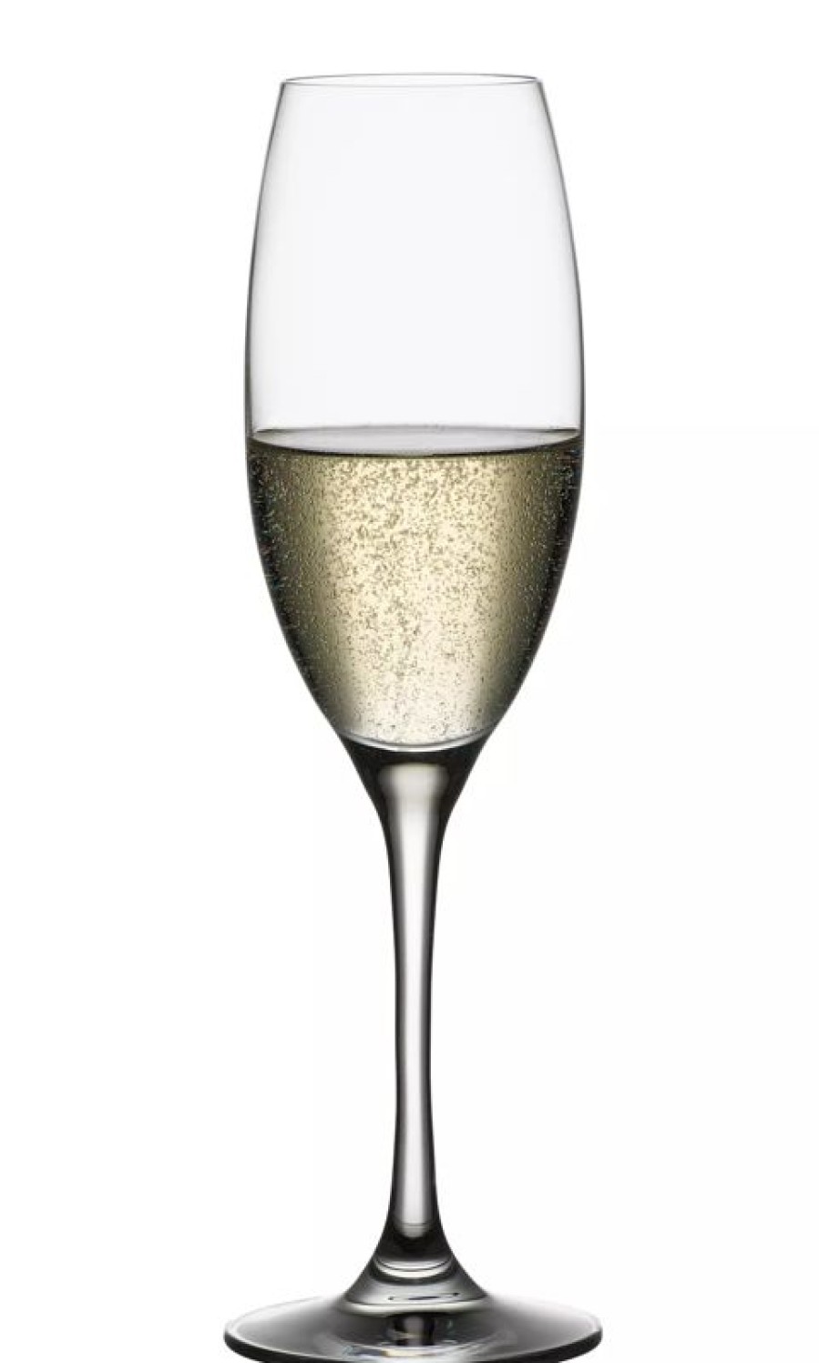 Glaser Barstuff Sektglaser | Champagnerkelch Vino Grande, Spiegelau - 258Ml (1 Stk.)